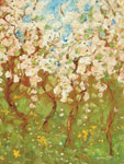 Cherry Blossoms by David Arathoon
