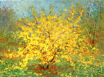 Forsythia by David Arathoon
