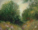 Cambridge Landscape in Summer