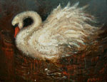 Night Swan
