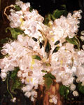 Night Lilacs by David Arathoon