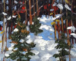Snow Pines by David Arathoon