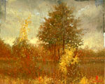Autumn Grey by David Arathoon